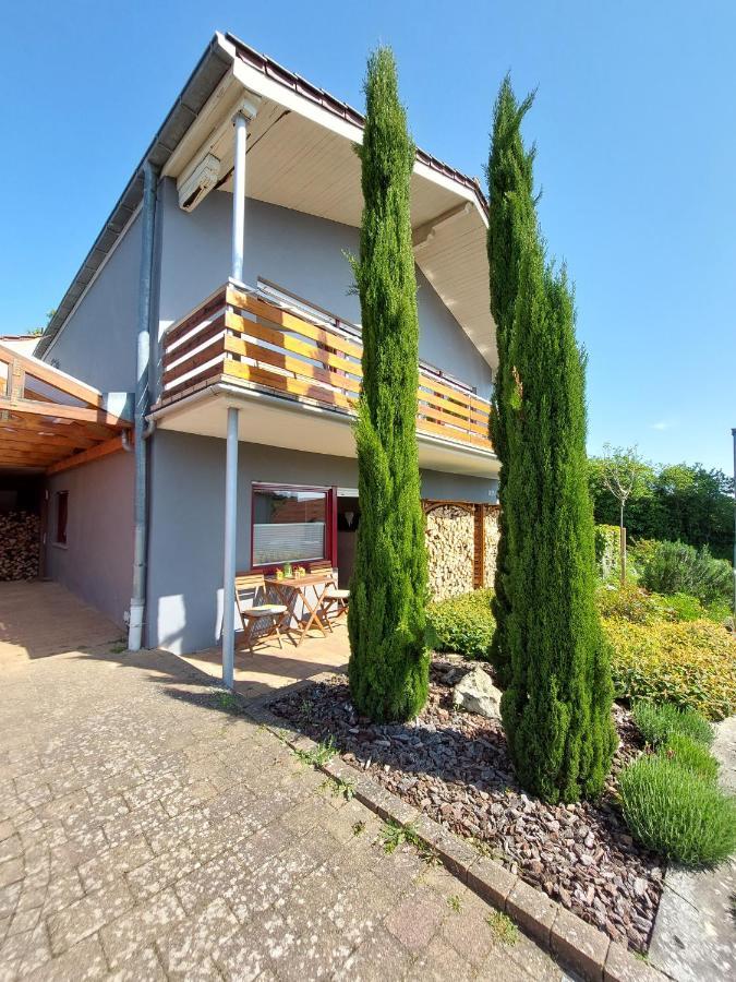 Apartment Casa Kuehn Hackenheim